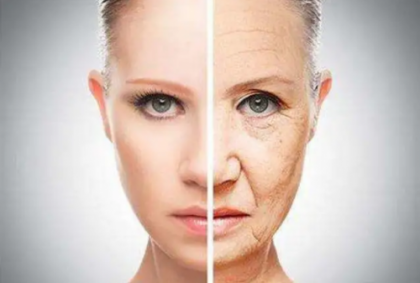 ������������й�����ѧ���⿪˥�����룬��������̬