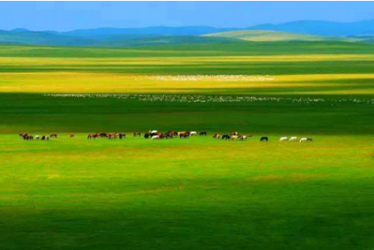 世界上最出名的四大草原