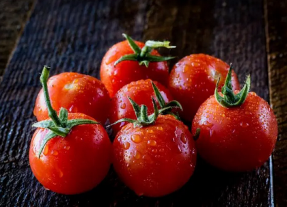 西红柿为什么越老越难吃了？
