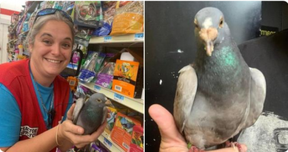 Ӣһֻسʱƫ뺽 ɵ4000Ӣ