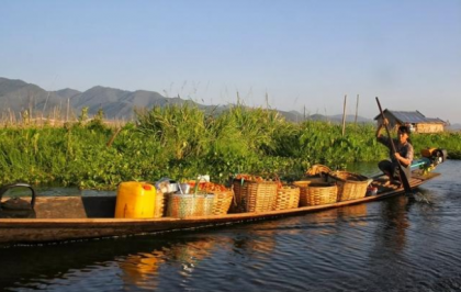 鵧һóԵ۸񷭱½ũʧ޴